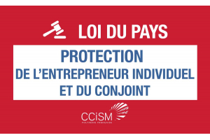 Loi du pays relative à la protection de l'entrepreneur individuel