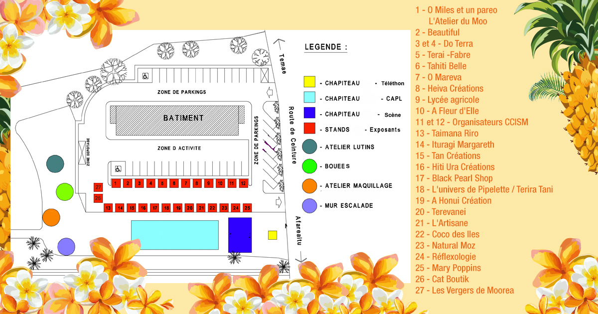 Business plan ccism picture