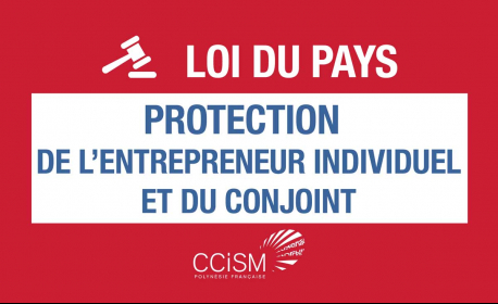 Loi du pays relative à la protection de l'entrepreneur individuel