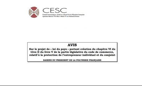 CESC - Avis 50/2016 Projet de « loi du pays » relatif à la protection de l’entrepreneur individuel et du conjoint