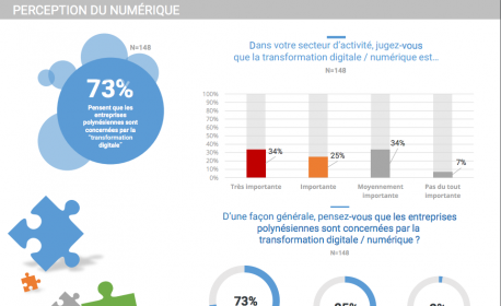 Le premier baromètre numérique du fenua