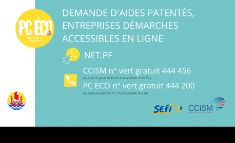 https://www.service-public.pf/dispositifs-de-sauvegarde-de-lemploi-et-daides-economiques/?fbclid=IwAR2UNFaLNBwvJFjUI0359jn8_tjqFS6ubyGSpQEa1l_HfMrsqCkUJ5lqkwI