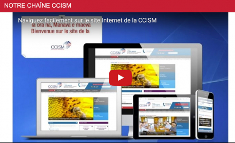 Le nouveau site de la CCISM