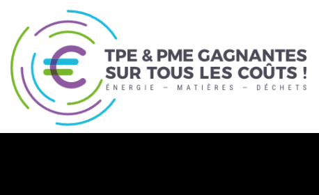 logo_reduction_des_pertes_tpe_et_pme_.png